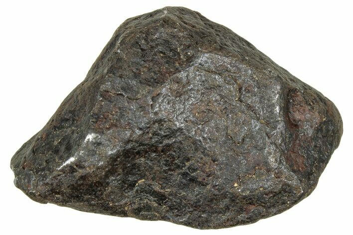 Canyon Diablo Iron Meteorite ( g) - Arizona #303489